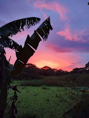 Tiki Hostel Ometepe의 사진