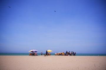 Foto's van