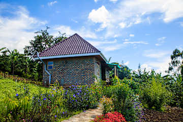 Foto di
