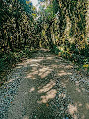 Photos de 