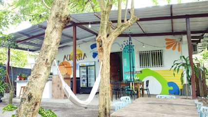 Acuarela Hostel의 사진