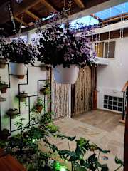 Hostal Casablanca의 사진