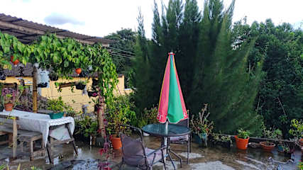 Bilder av