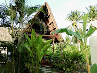 Photos of Single Fin Hostel and Cabanas