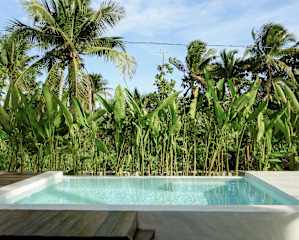 Photos of Single Fin Hostel and Cabanas