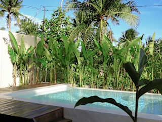 Photos of Single Fin Hostel and Cabanas