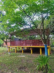 Photos de