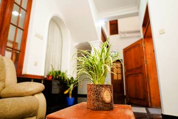 Photos of The Anam Hostel