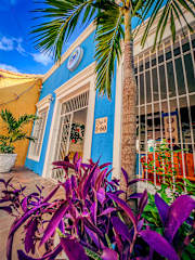 Photos of The Blue House Hostel - Santa Marta