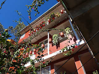 Photos of Kuelap Guest House