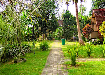 Photos of Pedidi Penida Hostel