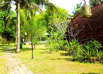 Photos of Pedidi Penida Hostel