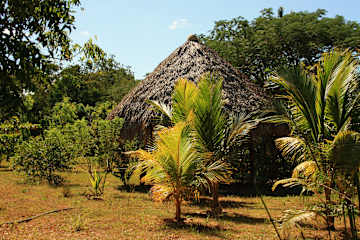 Foto di