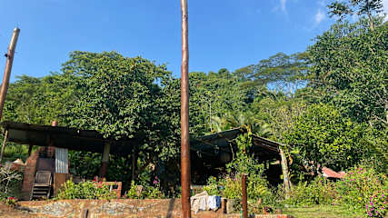 Bilder av