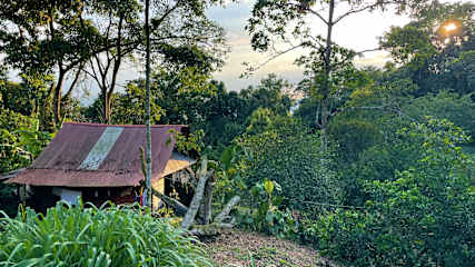 Bilder av