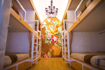 Photos of Chiangmai Midpoint Activity Hostel