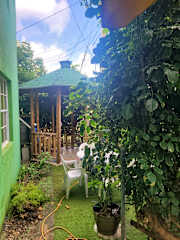 Fotos de
