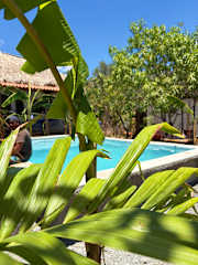 Fotos von