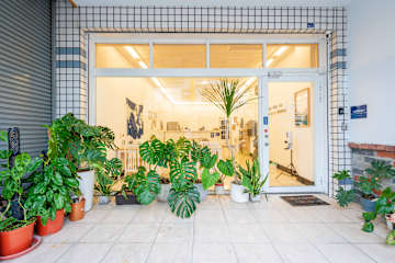 Photos of Utopia Hostel