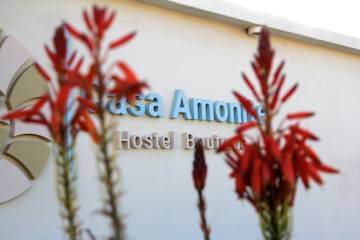 Photos of Casa Amonite Hostel Boutique