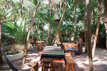 Photos of Co.Bañitas Tulum