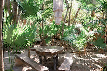 Photos of Co.Bañitas Tulum