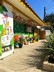 Fotos de