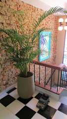 Photos of Nomadia Hostel