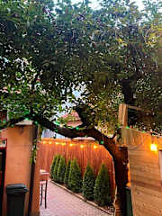 Photos of Hostel Nene Terezes