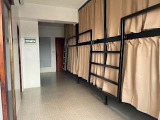 The Millas Hostelの写真