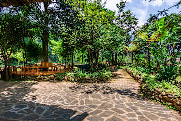 Foto di 