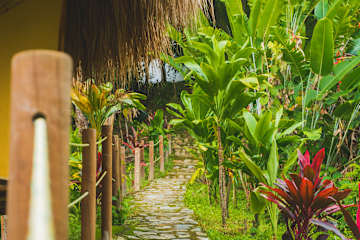 Minca Ecohabs Hotelの写真