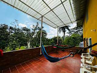 Bilder av