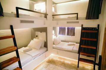 Photos of Wild Monkeys Hostel