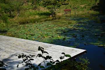 Photos of Ecohotel Summer Usiacuri