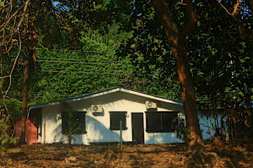 Tropical Camasの写真