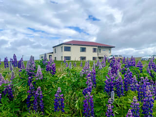 Photos of Saeberg HI Hostel