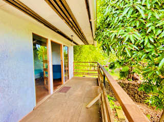 Photos of Mata Nui Eco Hostel