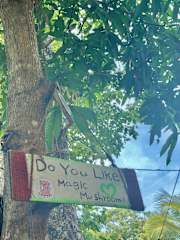 Photos of Reggae Paradise Hostel