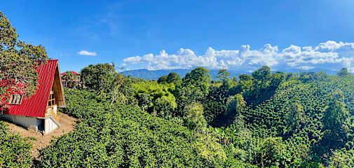Fotos von