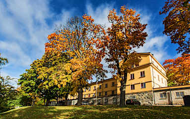 Foto di