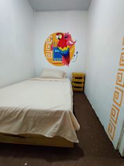Bilder av 
