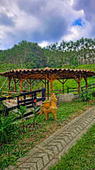 Photos of Finca Currucutu Salento