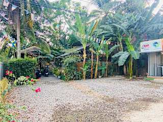 Ecostay Panglao Backpackers Bedの写真