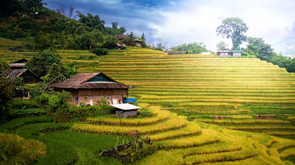 Zdjęcia nagrodzone 