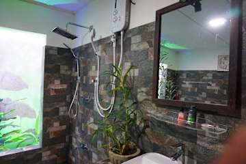 Fotos de