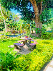 Photos of Hostal Casa Bonita Ometepe