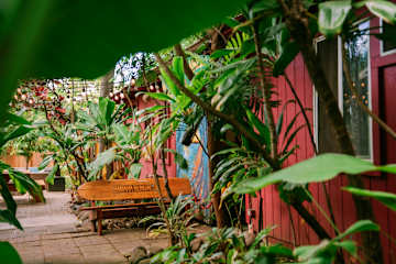 Fotos de Banana Bungalow Maui Hostel
