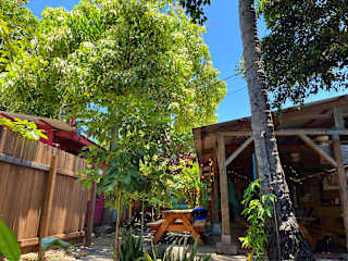 Fotos de Banana Bungalow Maui Hostel
