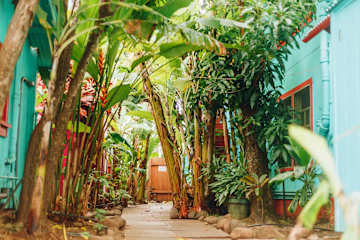 Fotos de Banana Bungalow Maui Hostel